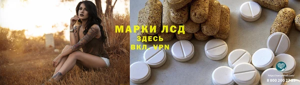 дживик Баксан