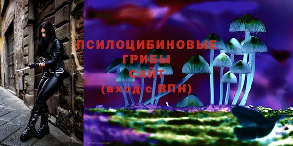 дживик Баксан