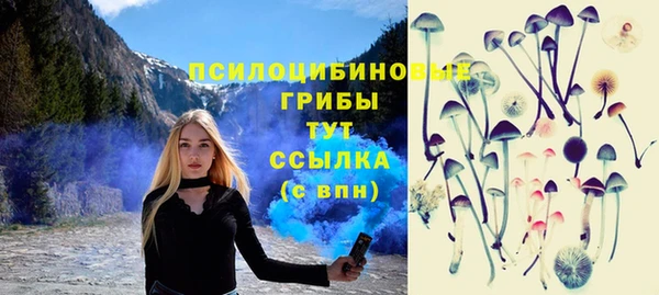 дживик Баксан