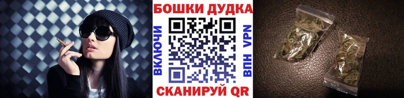 Купить закладки  Асино  Шишки марихуана SATIVA & INDICA 